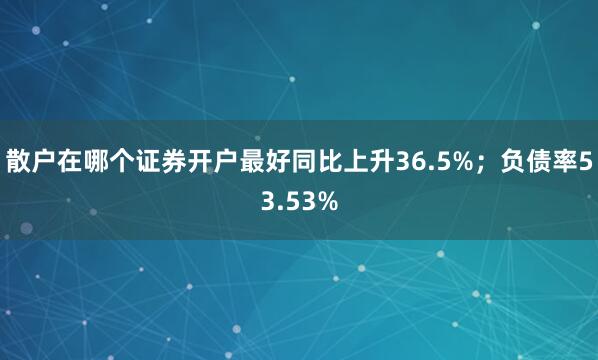 散户在哪个证券开户最好同比上升36.5%;负债率53.53%
