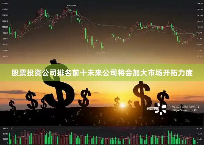 股票投资公司排名前十未来公司将会加大市场开拓力度