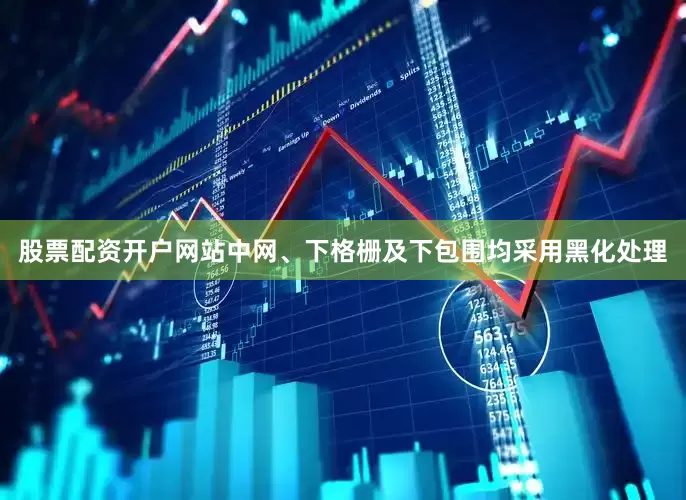 股票配资开户网站中网、下格栅及下包围均采用黑化处理