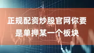 正规配资炒股官网你要是单押某一个板块