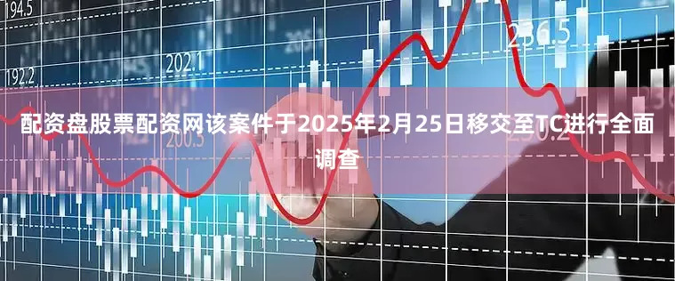 配资盘股票配资网该案件于2025年2月25日移交至TC进行全面调查