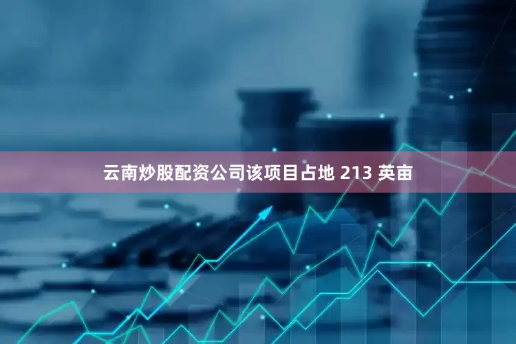 云南炒股配资公司该项目占地 213 英亩